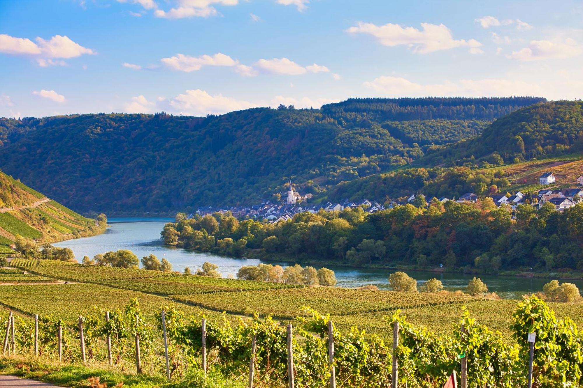 Mayer'S Weinhotel Zell an der Mosel Exterior photo